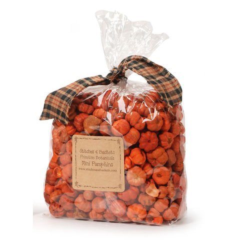 Putka Pod - Mini Pumpkin - 5 cups