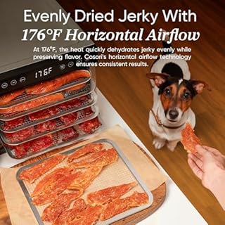 COSORI Food Dehydrator for Jerky, 176°F Temperature Control, 5 Stainless Steel Trays with 5.1 ft² Drying Space, 4 Presets, 48H Timer, for Dog Treats, Meat, Fruit, Veggies, Snacks, Bright-Silver