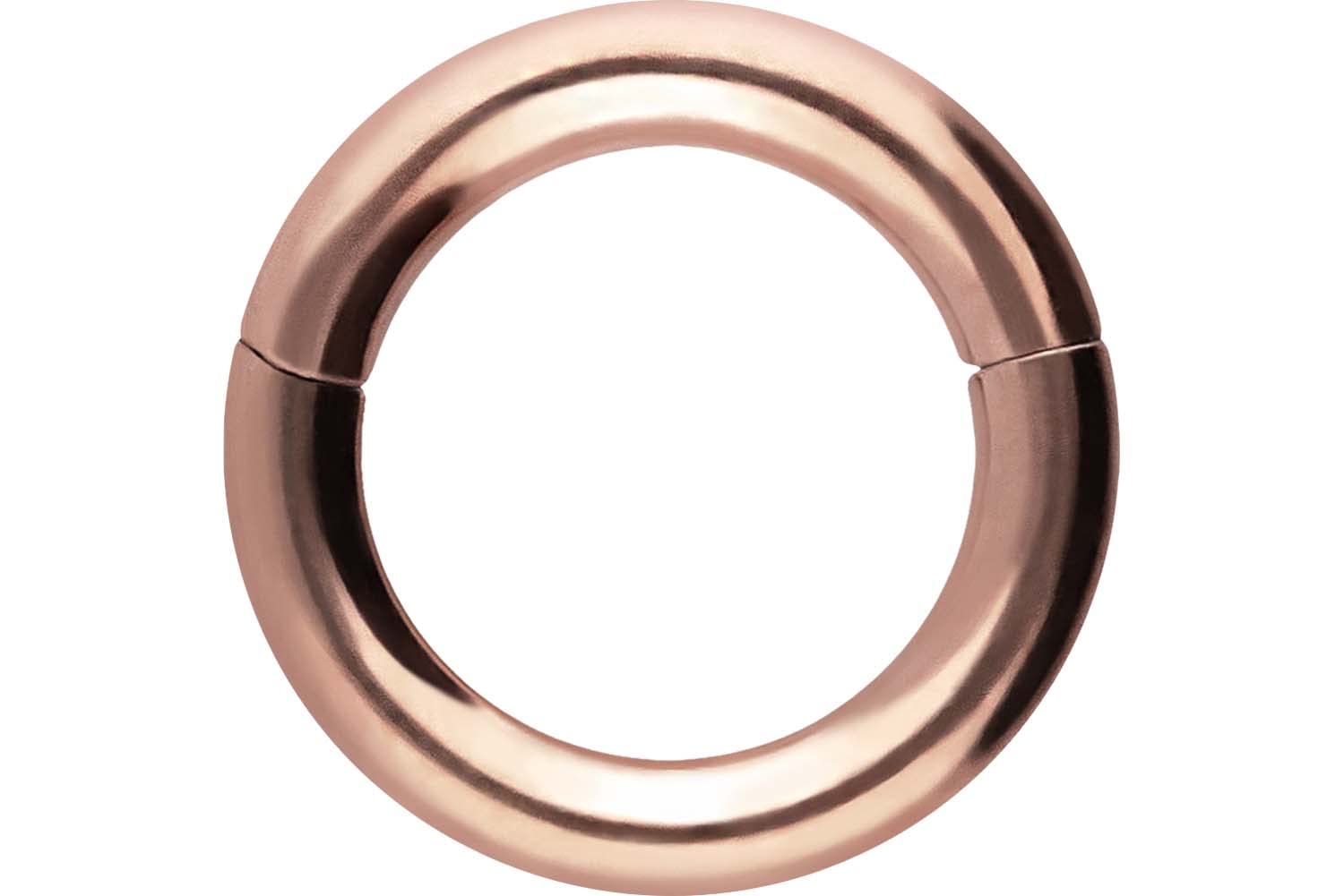 PIERCINGLINE Anillo segmento Clicker de acero quirúrgico – Piercing en oro, plata, rosa, negro o azul – para nariz, tabique, oreja, hélice o tragus — view 133