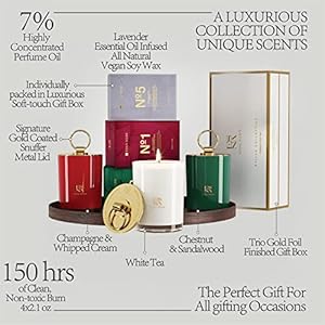 ESNA HOME Luxury Trio Gift Set 3 Full Size Aromatherapy All Natural Soy Scented Candle 150h Hours Long Clean Burn Holiday Gift Packed to Perfection Hand Sealed Gift Box Matching Sleeve