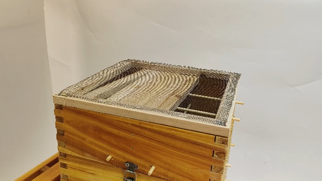 Amazon.co.jp: RemixOri ミツバチ 巣箱 木製 5層 みつばちの巣箱