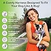 EcoBark Dog Harness - Teacup Dog XXXS Small Dogs - Step in Mesh No Pull Mini Body Vest Halter - Puppy Harness - Toy Breed Harness Vest Under 5 pounds lbs (XXXS, Lavender) #2