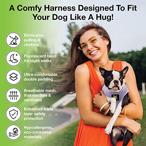 EcoBark Dog Harness - Teacup Dog XXXS Small Dogs - Step in Mesh No Pull Mini Body Vest Halter - Puppy Harness - Toy Breed Harness Vest Under 5 pounds lbs (XXXS, Lavender) #2