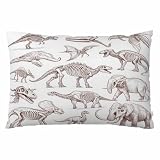 EKOBLA Throw Pillow Cover Dinosaurs Prehistoric Animals Skeleton Biology Historic Antique Wildlife Artwork Decor Lumbar Pillow Case Cushion for Sofa Couch Bed Standard Queen Size 20x30 Inch