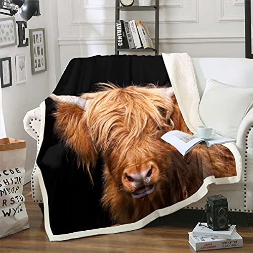 Loussiesd Highland Cow Sherpa Throw, Longhorn Cattle Fleece for Kids Boys, Girls, Western Animals Fuzzy Blanket for Sofa Bed