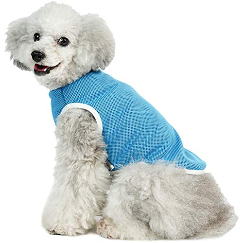 inuya 犬 夏服 FULL COOL 無地タンクトップ メッシュ 小型犬 【3号 ライトブルー】 犬服 涼しい 冷感 ひんやり クール 気化熱 冷却 暑さ対策 フルクール 本体 犬 服 春 夏 犬屋 ライトブルー,3号