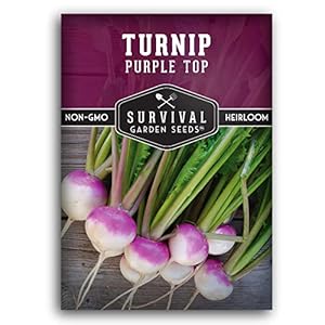 Turnip Seeds for Planting | Purple ...
