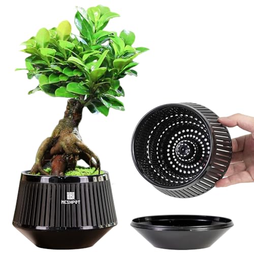Meshpot Macetas bonsái de 12 cm con bandeja de drenaje y excelente flujo de aire, juego de 1, maceta de plástico para bonsái con poda de aire, maceta pequeña para plantas de interior, enebro, ficus