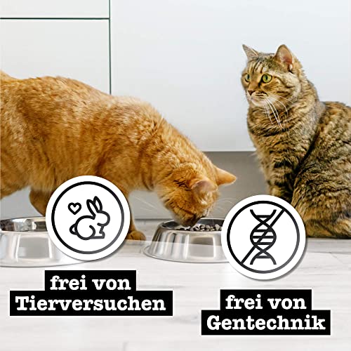 catz finefood Purrrr Huhn Monoprotein Katzenfutter nass N° 103, für ernährungssensible Katzen, 70% Fleischanteil, 6 x 200g Dose