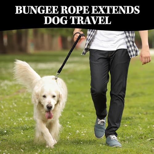 Generisch Ruckdämpfer Hund 45cm, Hundeleine Nylon mit Tiger Zahn Metallclip, Reflektierend Leinenverlängerung für zum Joggen, Radfahren, Spazierengehen