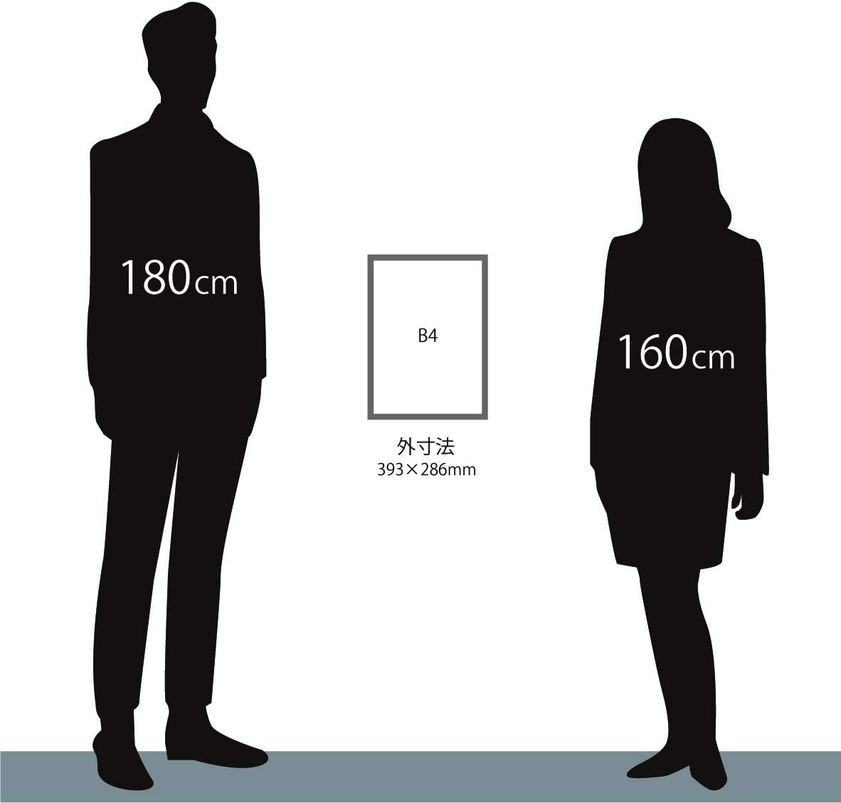 Large OA Frame OA-B4 Silver/Gray 8227 Product Size: 15.5 x 11.3 x 0.7 inches (393 x 286 x 17 mm)