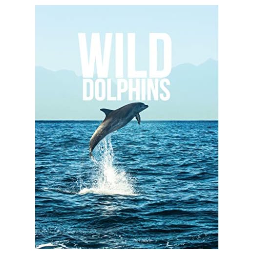 Wild Dolphins