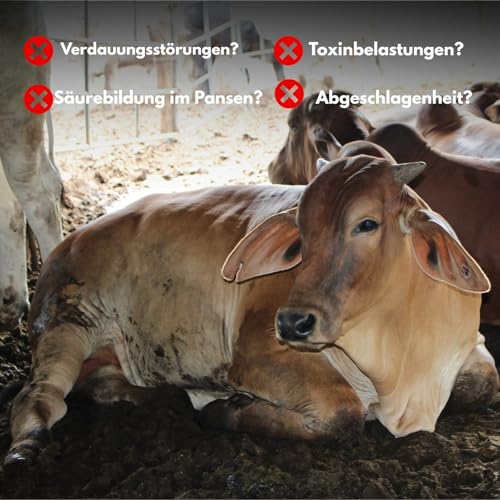 CarboVerte Nutztier-Futterkohle 3,5 kg – Höchste Standards für Futtermittelsicherheit, Bei Verdauungsproblemen & Durchfall bei Rindern, Schweinen, Geflügel - verbesserte Stallhygiene