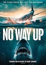No Way Up DVD
