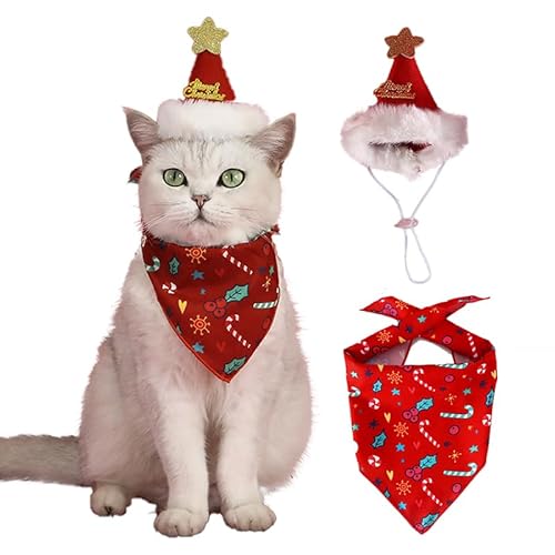 KJOET NX}X ybg 2_Zbg L p }t[ Xq ybg RX`[ RXv T^X  ybgEFA ANZT[  ybgpi ʐ^Be p[eB[ ϐgiM/ԁj