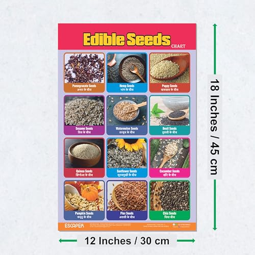 Image of ESCAPER Edible Seeds Educational Learning Charts (11.5 x 17.5 Inches), 300 GSM Paper, Laminated, Self Adhesive Back, Kids Study Material, Perfect For Home Schooling, Nursery Students