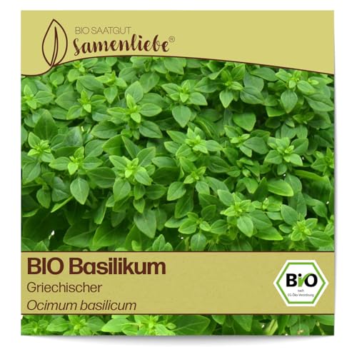 Samenliebe BIO Basilikum Samen Griechischer würziges Buschbasilikum kompakte Küchenkräuter grün 500 Samen samenfestes Kräuter Saatgut für Küche indoor und Balkon Garten BIO Kräutersamen