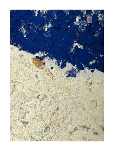 Alimento para caracoles con espirulina azul, 150 g, mezcla de caracoles y cal con sustancias naturales para la construcción de las conchas de caracoles
