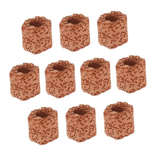 WOONEKY 10 Piezas Anillos Fijos para Plantas Acuáticas Resistente Soporte Decorativo para y Peceras Accesorios para Fijar Plantas de Peces