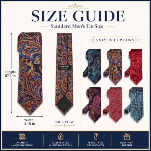 Image of WeiShang Neckties for Men, Classic Formal Tie