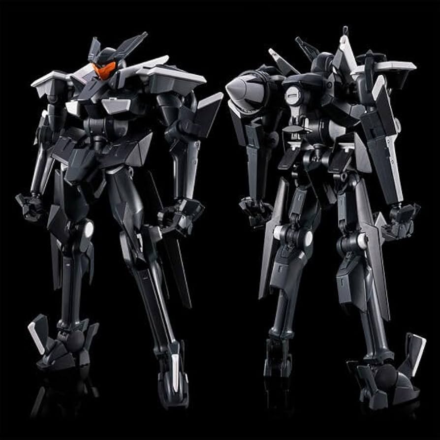 ガンプラ HG GNフラッグ ガンダムナイオン 2個セット 新品 未開封 Amazon | HG グラハム専用ユニオンフラッグカスタムII (GN