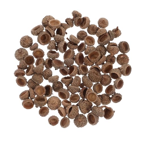 100 Pcs Natural Acorn Shell Christmas Tree Art Dried Flower Art miniatura 1
