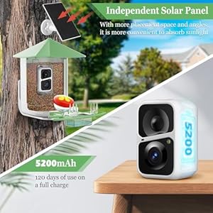 Careboda Smart Bird Feeder Camera with Automatic Bird Video Capture and Motion Detection Indoor Bird Camera, Wild Birding Camera with Solar Power for Bird Lovers, Green Careboda Smart Bird Feeder Camera with Automatic Bird Video Capture and Motion Detection Indoor Bird Camera Wild Birding Camera with Solar Power for Bird Lovers Green