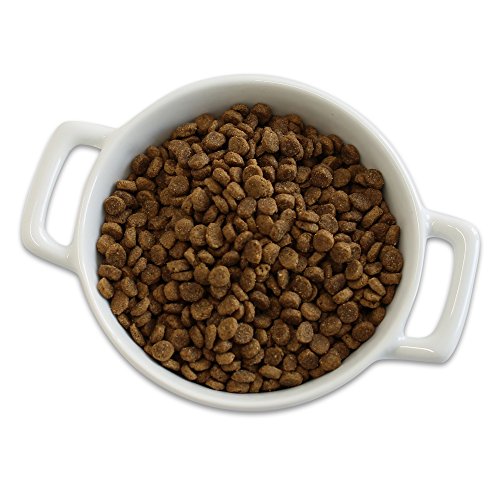 Best Organic Cat Food in 2022 (with Reviews!)