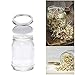 2 Pack Stainless Steel Sprouting Lids - 2 in 1 Superb Ventilation Stainless Mesh Jar Sprouting Lid Kit for Wide Mouth Mason Jars Canning Jars for Making Organic Sprout Seeds in House/Kitchen