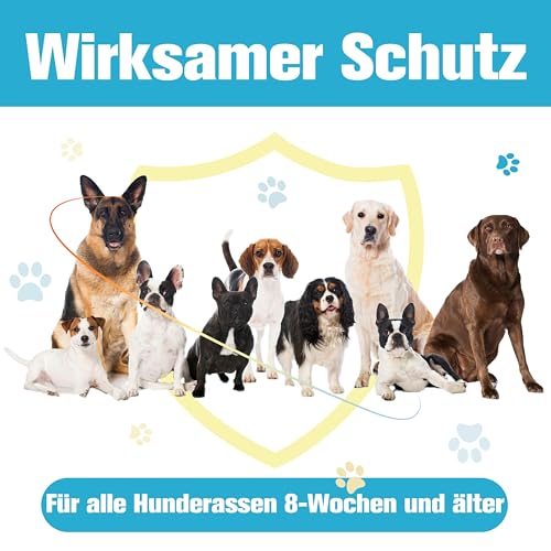 Advanllent Zeckenschutz für Hunde 6 Pipetten, Spot On Hund, Zeckenmittel für kleine Hunde 2 bis 10 kg, Hunde flohmittel entwurmungsmittel für Hunde, gegen Flöhe & Zecken
