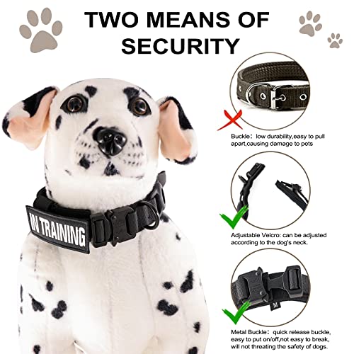 Collare Tattico Cane Regolabile con Supporto