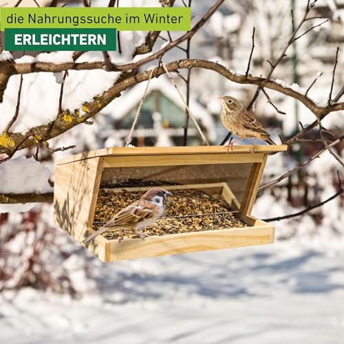Windhager Vogelfuttersilo Pultdach XXL, Vogelhaus, Futterhaus für Vögel, Vogelhäuschen, Nistkasten Vögel, Füllvolumen Circa 6 Liter, 05364, holz
