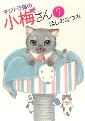 キジトラ猫の小梅さん (8) (ねこぱんちコミックス) | ほしの なつみ