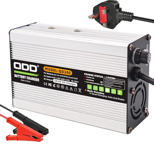 QDD Chargeur de batterie LiFePO4 58,4 V 5 A 58,4 V CC pince crocodile utilisé pour batterie LiFePO4 16S 48 V