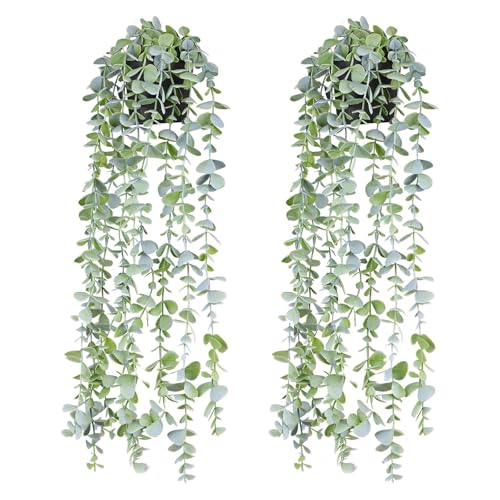 CSGHMM 2 Pcs Artificial Eucalyptus Hanging Plant - Fake Trailing Ivy Decor for Kitchen, Bathroom,Office - Faux Greenery Hanging Baskets for Indoor Wall Shelf Decor,Front Garden Aesthetic - Cosy Home Interiors CSGHMM 2 Pcs Artificial Eucalyptus Hanging Plant - Fake Trailing Ivy Decor for Kitchen, Bathroom,Office - Faux Greenery Hanging Baskets for Indoor Wall Shelf Decor,Front Garden Aesthetic