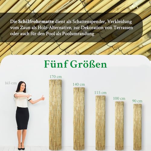 Novatool Balkon Sichtschutzmatte Flexibles Design für Gartenzaun und Terrasse 115x600 cm Schilf Schutz vor Blicken Einfache Montage Wind- und wetterfest Stilvolle Dekoration und Privatsphäre