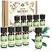 COM-FOUR® 10x huiles parfumées dans un ensemble - parfum d'ambiance naturel - huile parfumée pour diffuseurs d'arômes, désodorisants, vaporisateurs d'eau, humidificateurs d'air (10 pièces - Naturel 1)