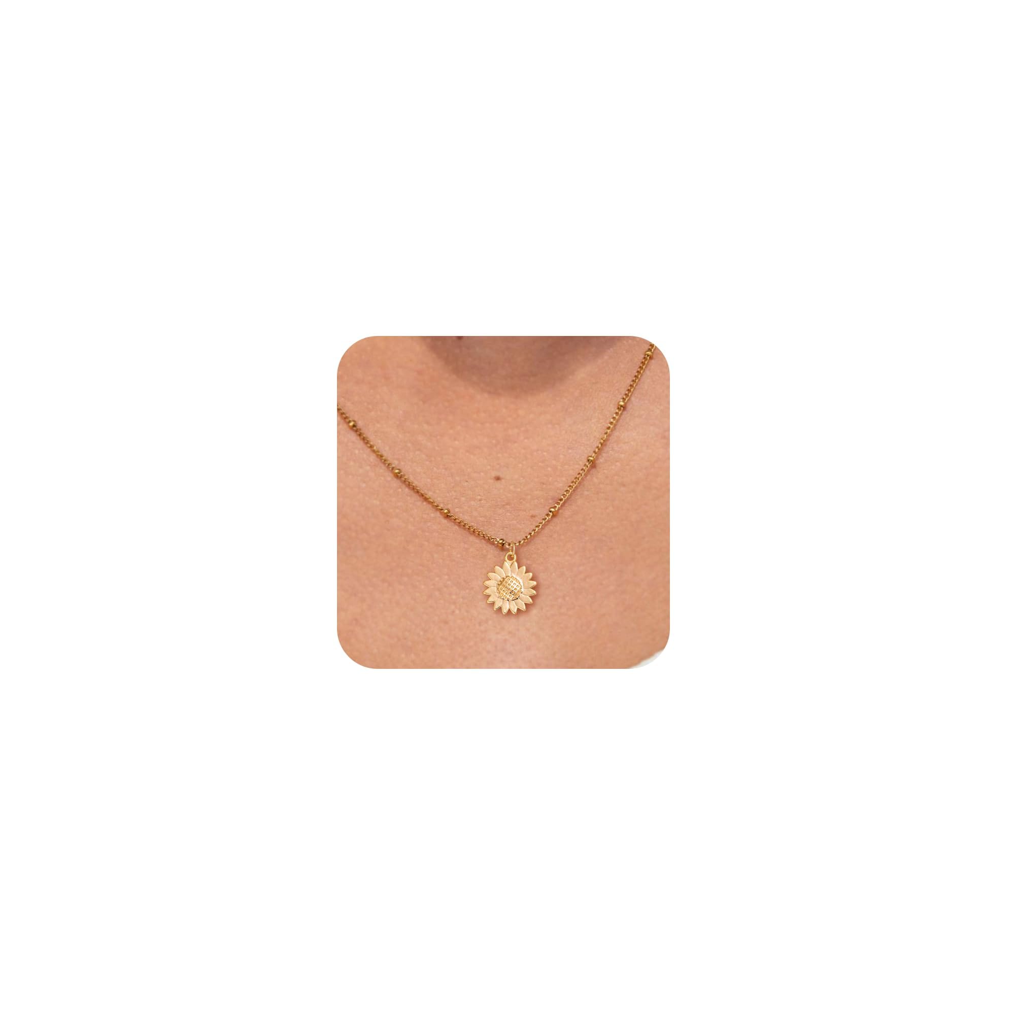 HANLI14K Gold Plated Necklaces for Women - Dainty Butterfly, Star of David, Moon and Star, Sun, Lotus, Infinity, Hummingbird, Bee Pendant Designs - Elegant Jewelry for Women