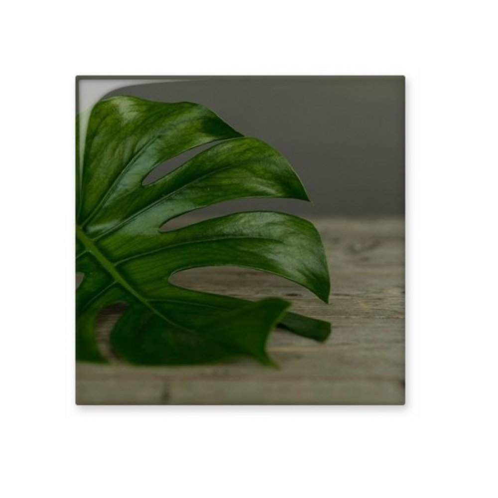 Carrelage céramique feuille plante brillant idée cadeau décoration artisanat pierre