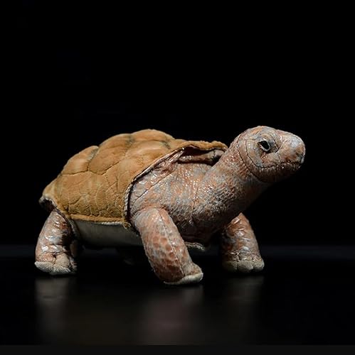 YIUNL Lifelike Galapagos Giant Tortoise Cute Galapagoensis Simulation Turtle Doll Stuffed Animal Plush Toy Kids Gifts 26cm Galapagos Tortoise