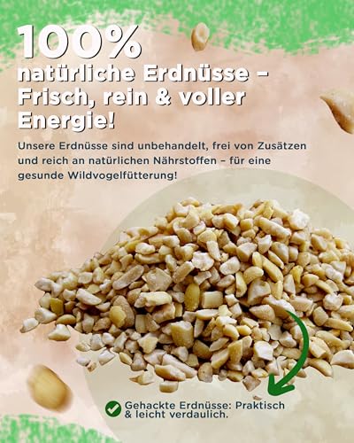 Futterbauer Erdnüsse gehackt 10 kg für Wildvögel & Eichhörnchen, Hochwertiges Vogelfutter mit Vitaminen & Fettsäuren, Ambrosia kontrolliert, weiß & blanchiert