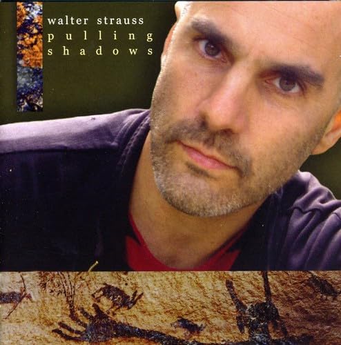 Pulling Shadows [Audio CD] Walter Strauss