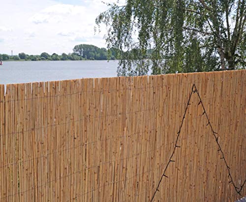 bambus-discount.com Schilfrohrmatte Premium 120 x 600cm - Sichtschutz Schilfmatte Beach 1,2m x 6m Made in EU