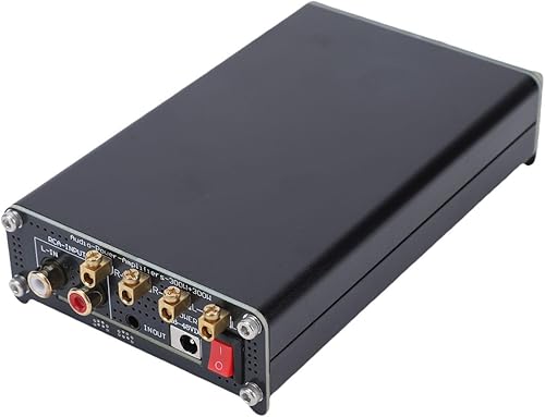 Amplificador de potencia de alta fidelidad, amplificador de potencia de 300 W x 2 amplificador de alta fidelidad clase D, mini amplificador estéreo