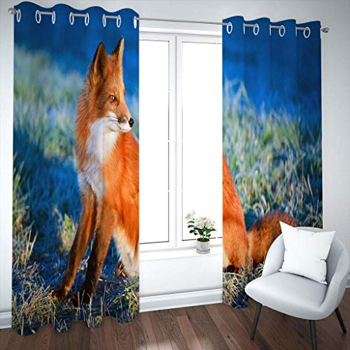 Rideaux et draperies intérieurs opaques bleu et renard isolant thermique - 3