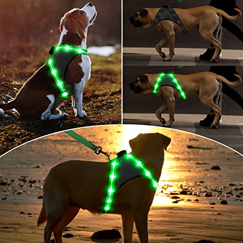 ChalkLit LED Hundegeschirr, Leuchtendes Wiederaufladbares Beleuchtetes Reflektierendes Hundegeschirr Leuchtet Im Dunkeln, LED Hunde-Sicherheitswestenlichter für Nachtspaziergänge (Grün, L)
