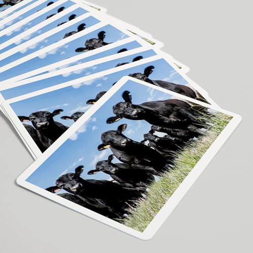 Baraja de 52 naipes tamaño póker Black Angus miniatura 5