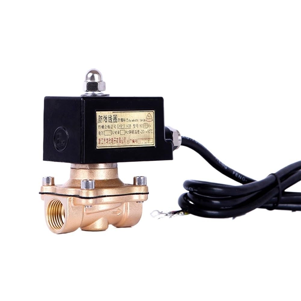 Huuoqiwy Npt-230Vac Dn50 Gas Solenoid Explosion Proof 2Inch For Nitrogen Liquid Normally Closed(Npt-230Vac)