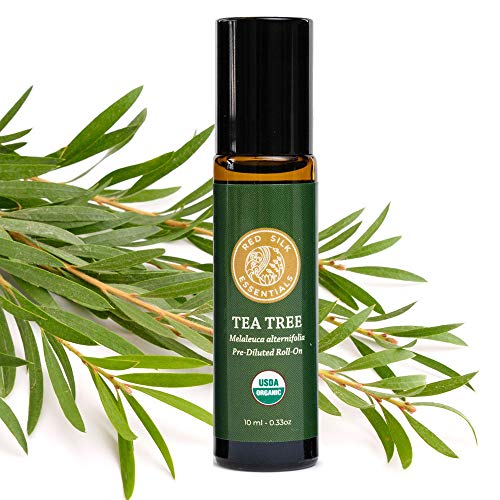Organic Tea Tree Essential Oil, 100% Pure Non-GMO USDA Certified Organic Melaleuca Alternifolia - 10ml 50/50 Pre-diluted Roll-on | Purifies as it Heals
