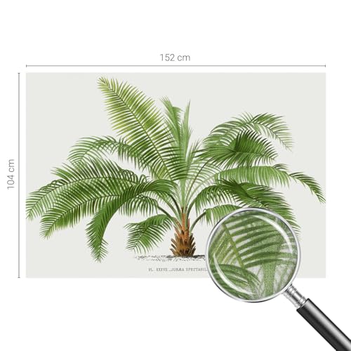 Murales de palmera brillante 152x104 cm de diseño sofisticado 5